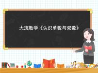 大班数学《认识单数与双数》课件