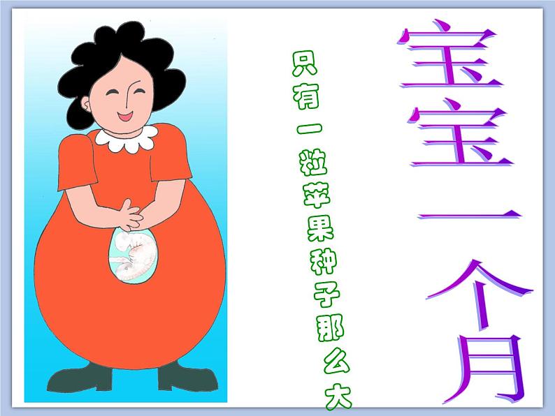 小班美术《妈妈肚子里的我 》课件第2页