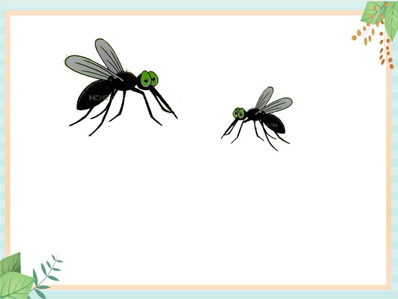 15 中班语言《两只蚊子吹牛皮》课件02
