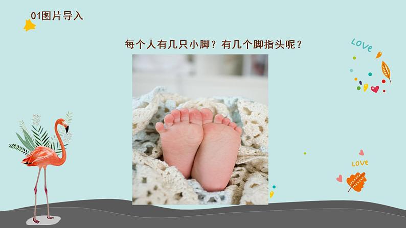 小班社会《小脚和它的好朋友》课件+教案03