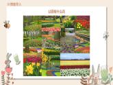 小班社会《花儿是我的好朋友》课件+教案