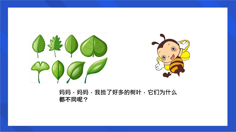 学前教育中班科学领域《神奇的叶子》教案+PPT07