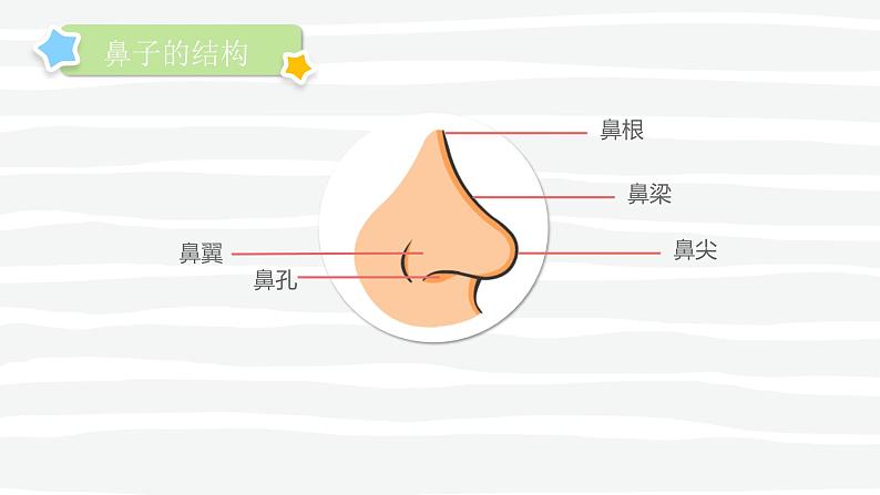 幼儿园通用【健康内容】主题班会精品教学PPT课件（三十八）第4页