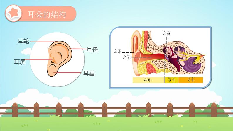 幼儿园通用【健康内容】主题班会精品教学PPT课件（三十二）04