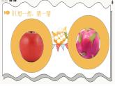 小班科學(xué)課《水果大變身》課件+教案