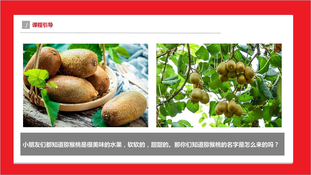 爱吃猕猴桃 少儿美术课件第4页