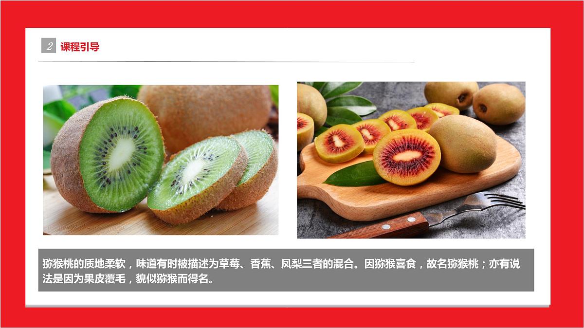 爱吃猕猴桃 少儿美术课件第5页