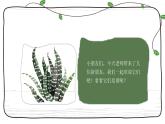 小班音乐活动-《宝贝宝贝》课件ppt＋教案