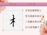 硬笔偏旁--9、10（木字旁、禾木旁） 课件PPT