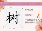 硬笔偏旁--9、10（木字旁、禾木旁） 课件PPT