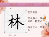 硬笔偏旁--9、10（木字旁、禾木旁） 课件PPT