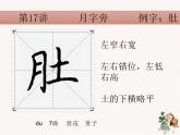 硬笔偏旁--17、18（月字旁、火字旁）课件PPT