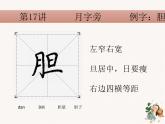 硬笔偏旁--17、18（月字旁、火字旁）课件PPT
