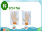 大班科學(xué)《左與右》PPT