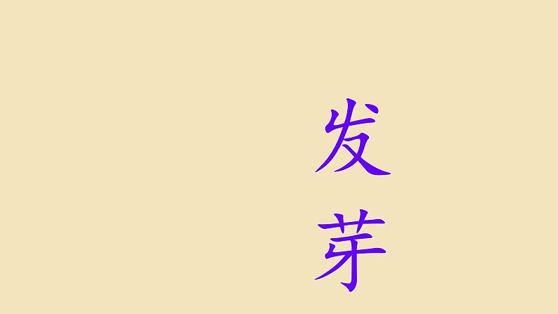 识字13——学会拥抱课件PPT06