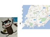 大班語言《野貓的城市》課件