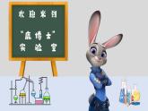 大班科學《動物城破案》課件PPT