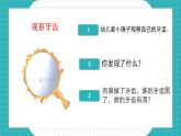学前教育大班通用健康领域   保护牙齿 课件+教案