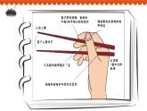 学前教育大班通用健康领域我会安全用筷 课件（ppt+希沃）+教案