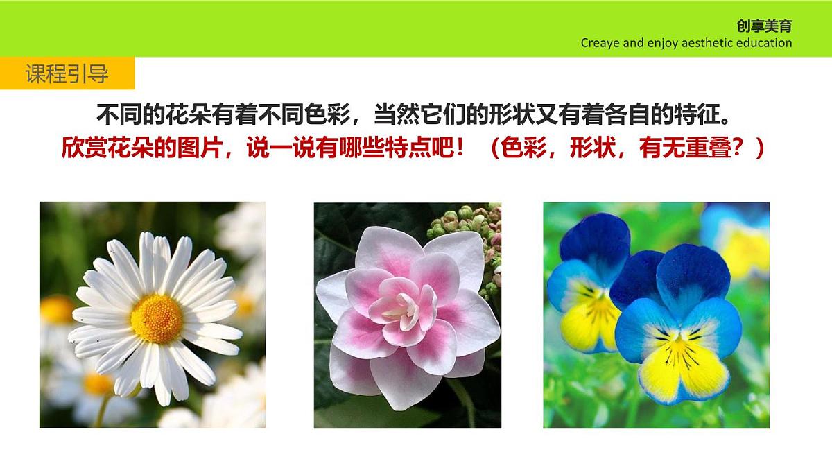 大班《野蜂飞舞》+课件第5页