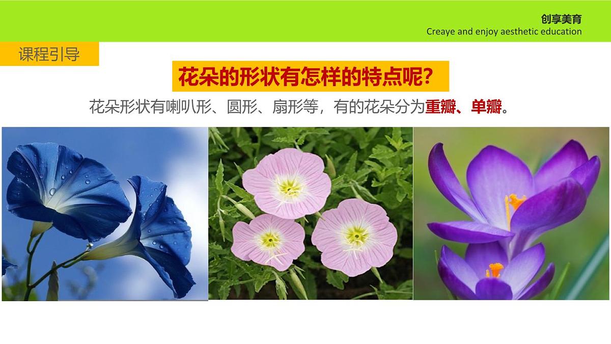 大班《野蜂飞舞》+课件第6页