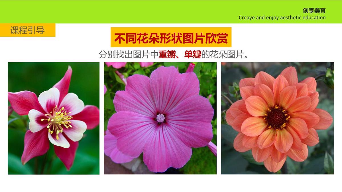 大班《野蜂飞舞》+课件第7页