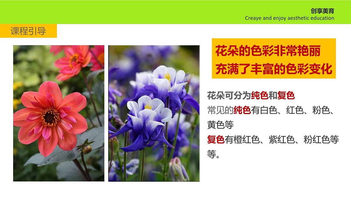 大班《野蜂飞舞》+课件第8页