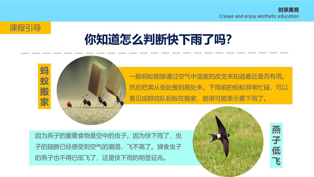 大班《雷电交加》+课件第6页