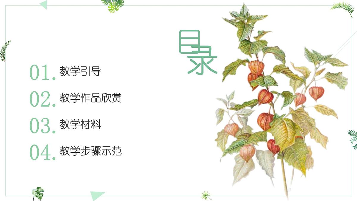 大班《灯笼果》+课件第2页