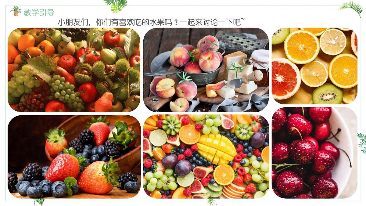 大班《灯笼果》+课件第3页