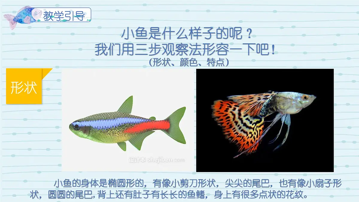 大班《浑水摸鱼》+课件第7页