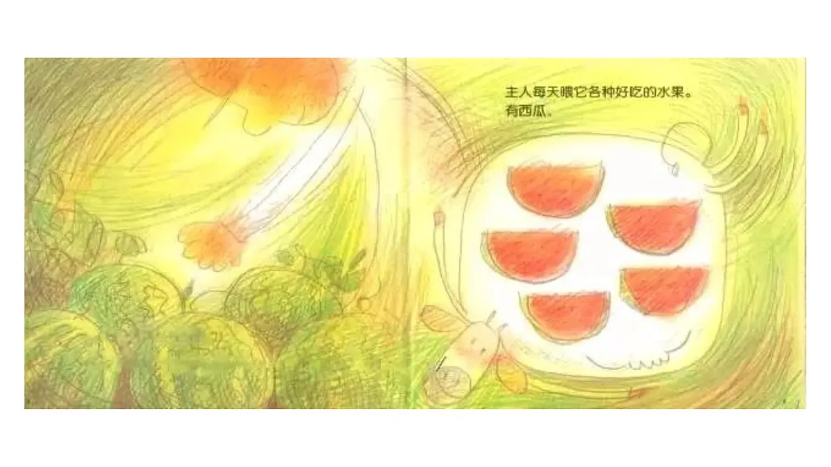 大班《网兜猕猴桃》+课件第6页