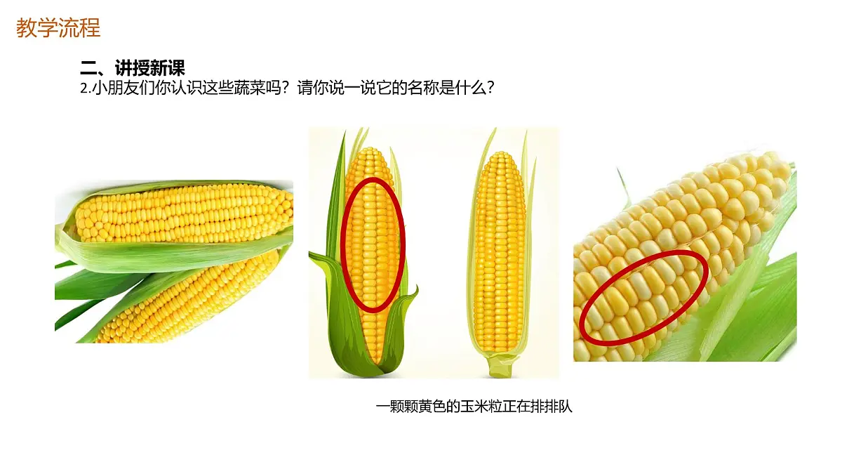 大班《妈妈的菜篮子》+课件第8页