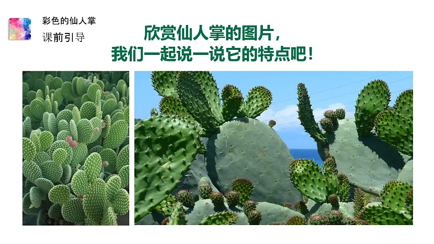 大班《彩色的仙人掌》+课件第8页