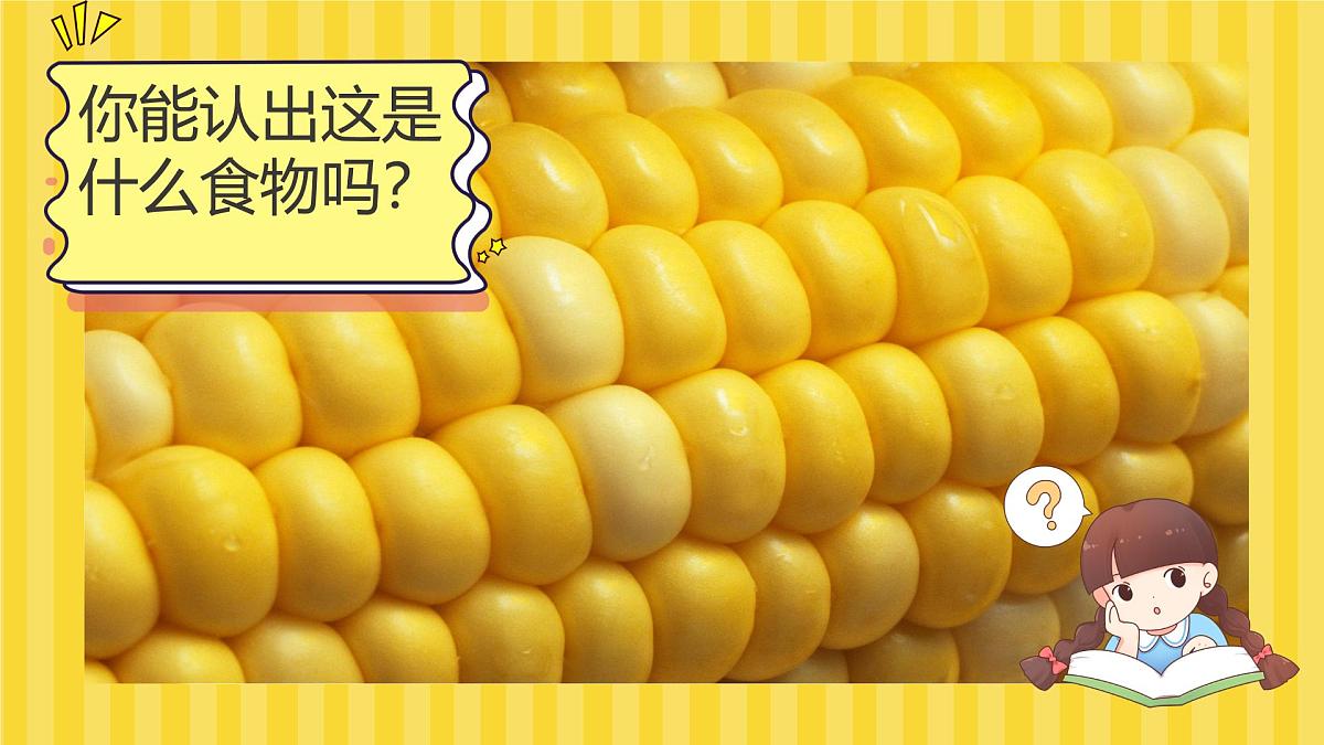 大班《玉米大聚会》+课件第3页