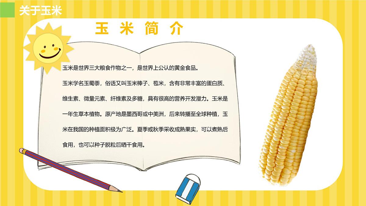 大班《玉米大聚会》+课件第4页