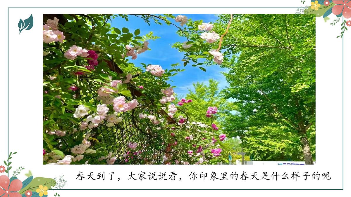 大班《相机里的美好》+课件第5页