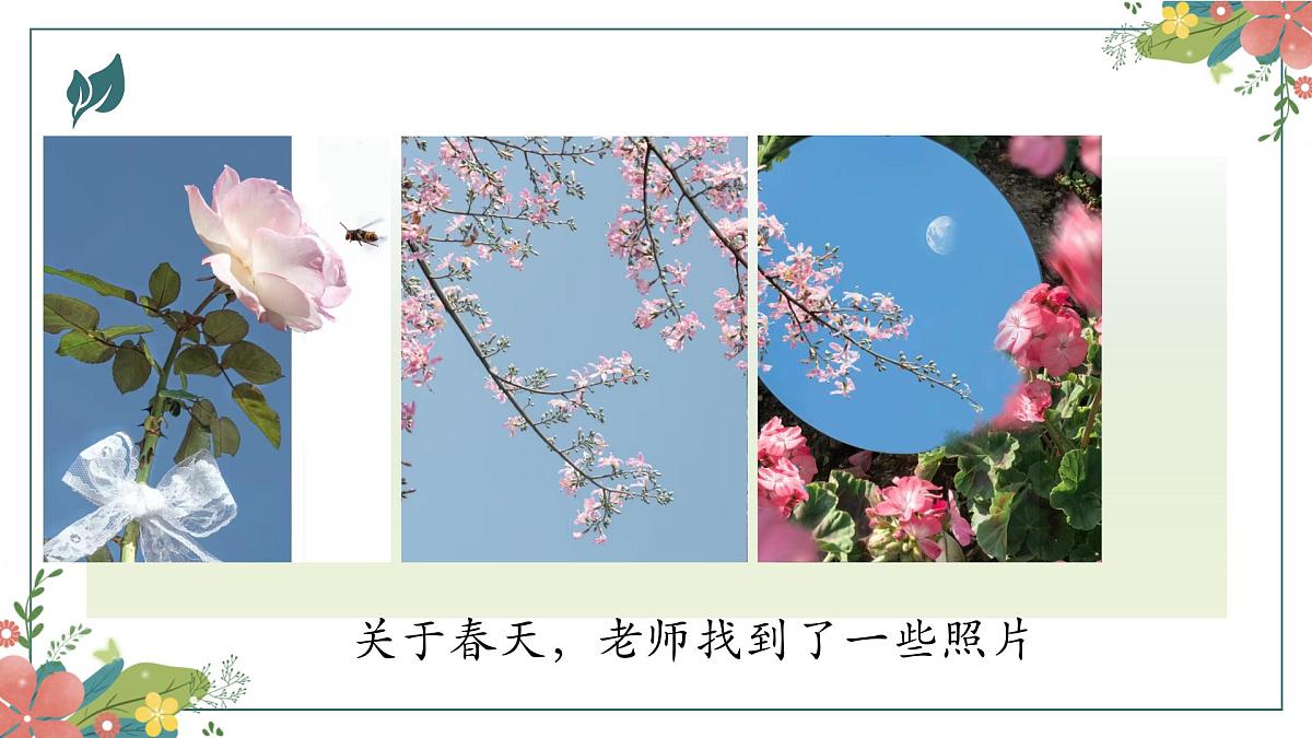 大班《相机里的美好》+课件第8页