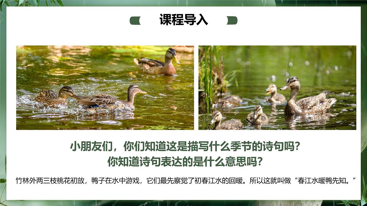 大班《春江水暖鸭先知！》+课件第5页
