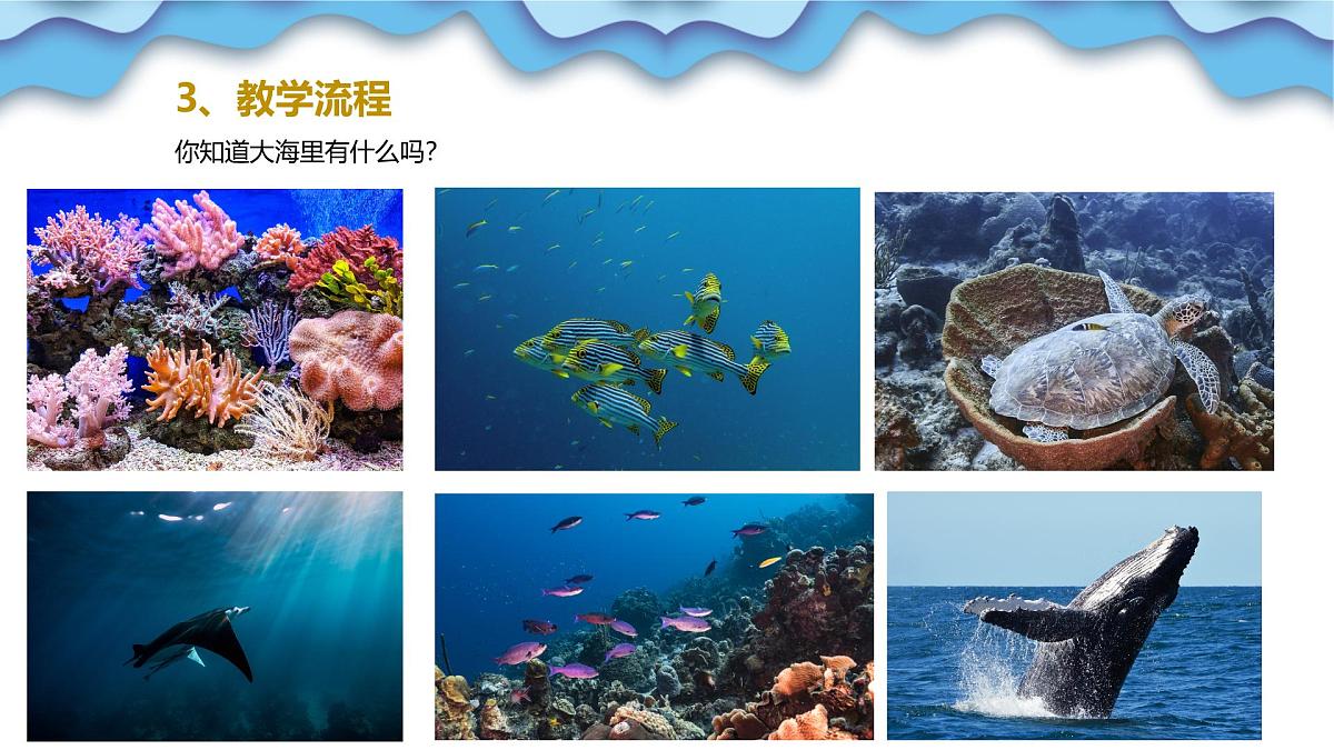 大班《鲨鱼笑笑来了》+课件第8页