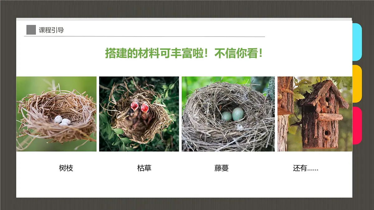 大班《小鸟的家》+课件第7页