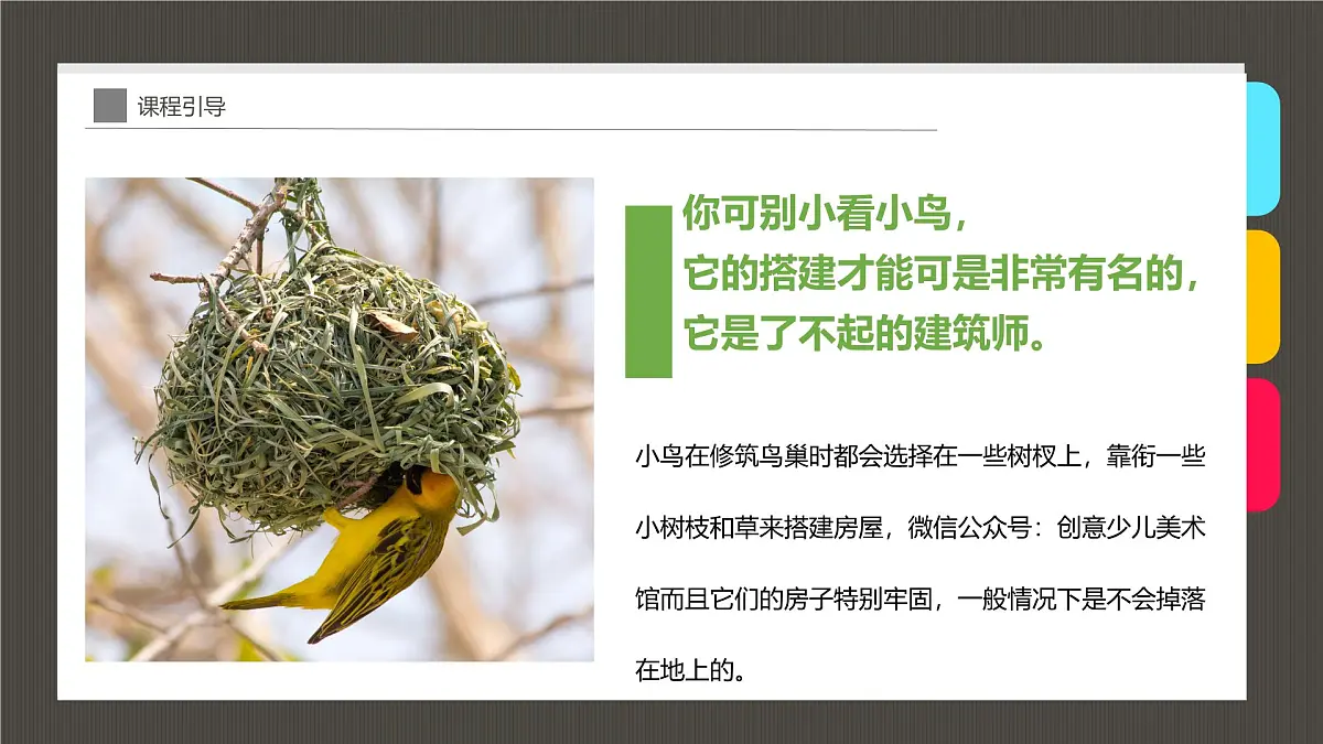 大班《小鸟的家》+课件第8页