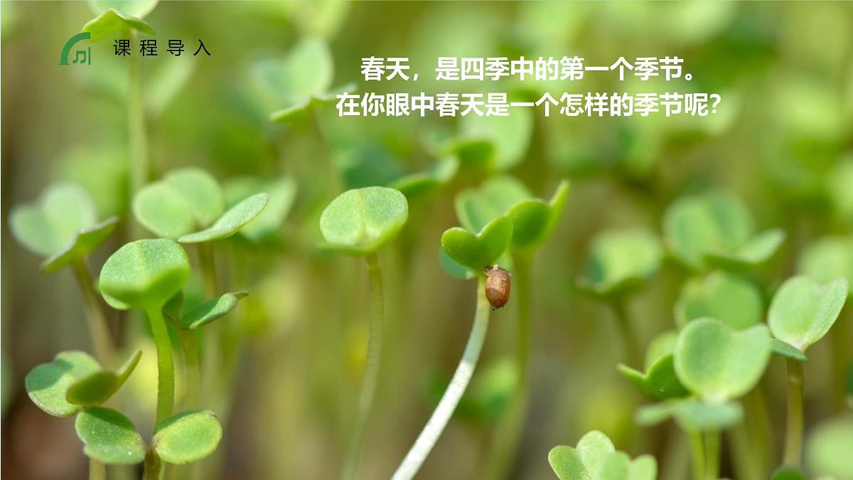 大班《花丛中的小蜜蜂》+课件第4页