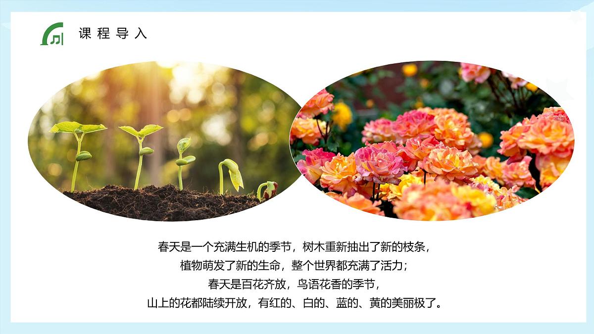 大班《花丛中的小蜜蜂》+课件第5页