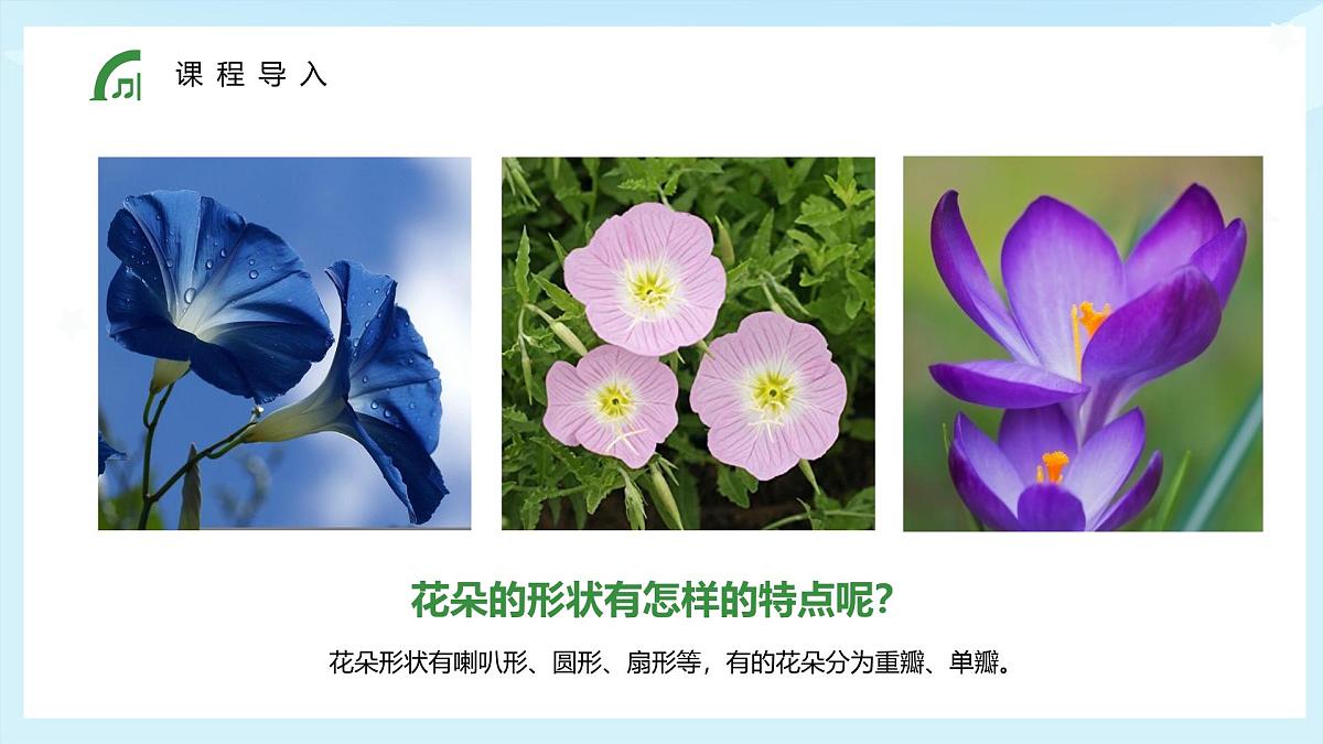 大班《花丛中的小蜜蜂》+课件第7页