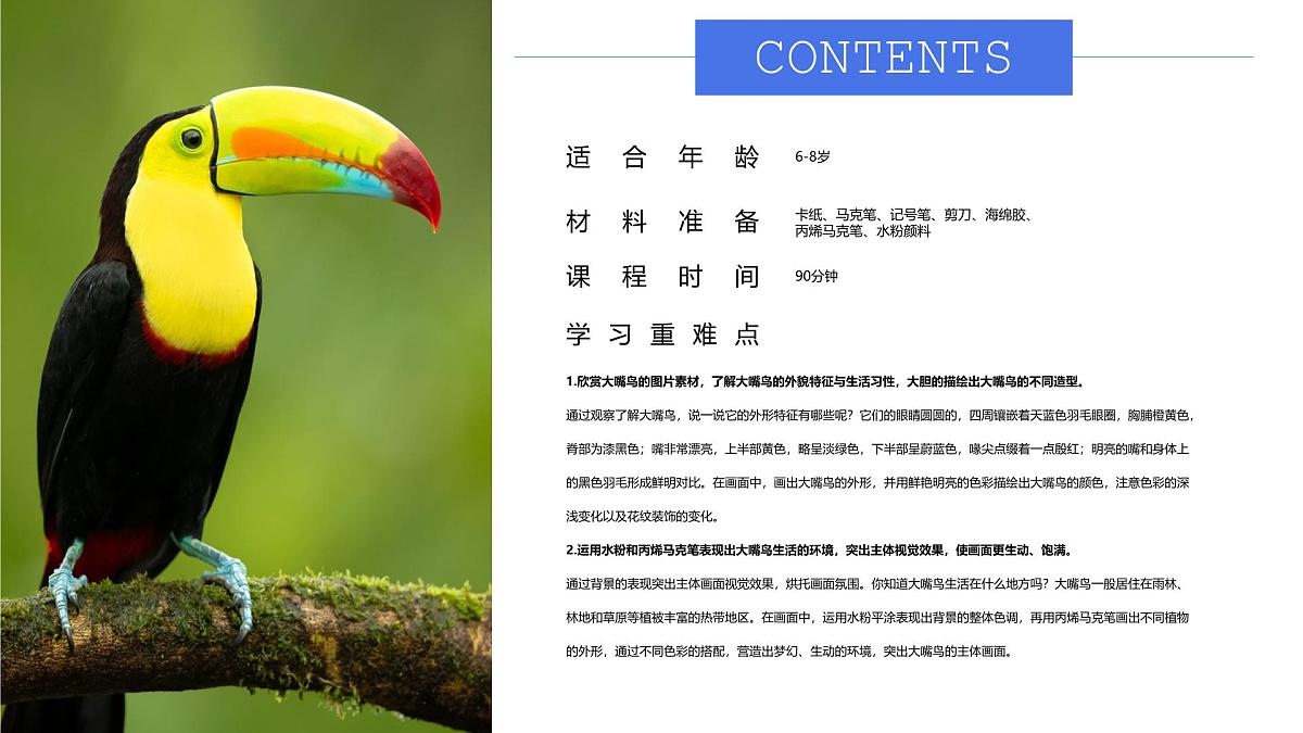大班《丛林中的大嘴鸟！》+课件第2页