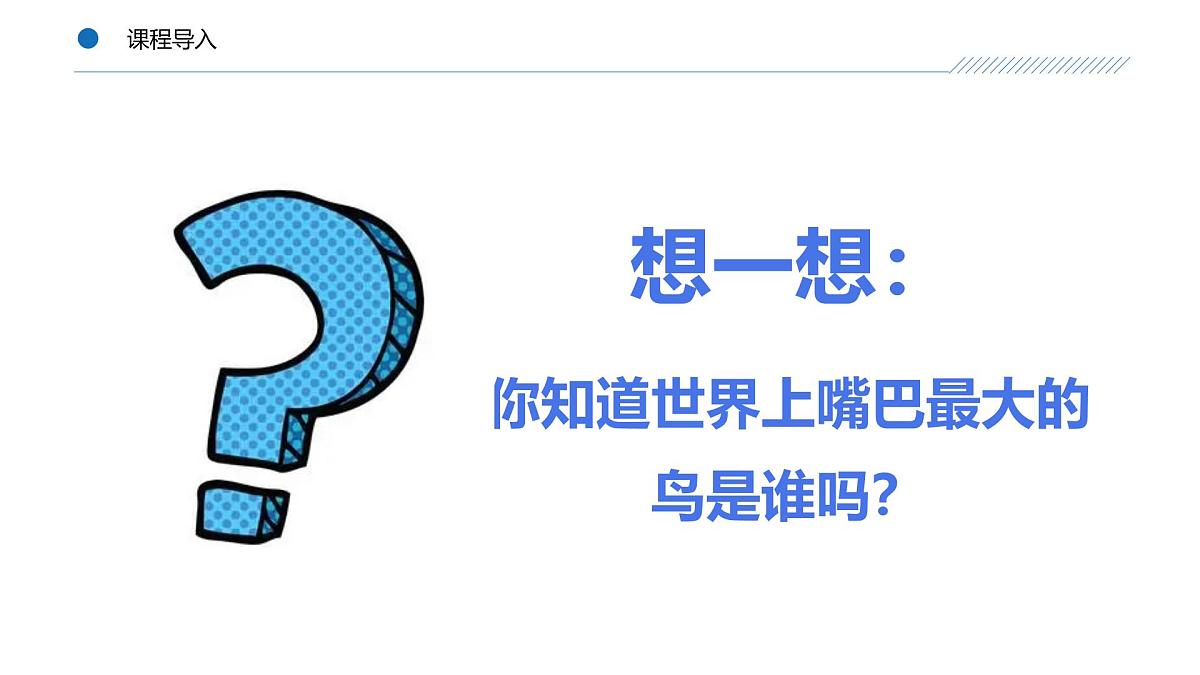 大班《丛林中的大嘴鸟！》+课件第5页