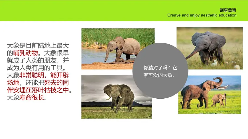 大班《春来》+课件第6页