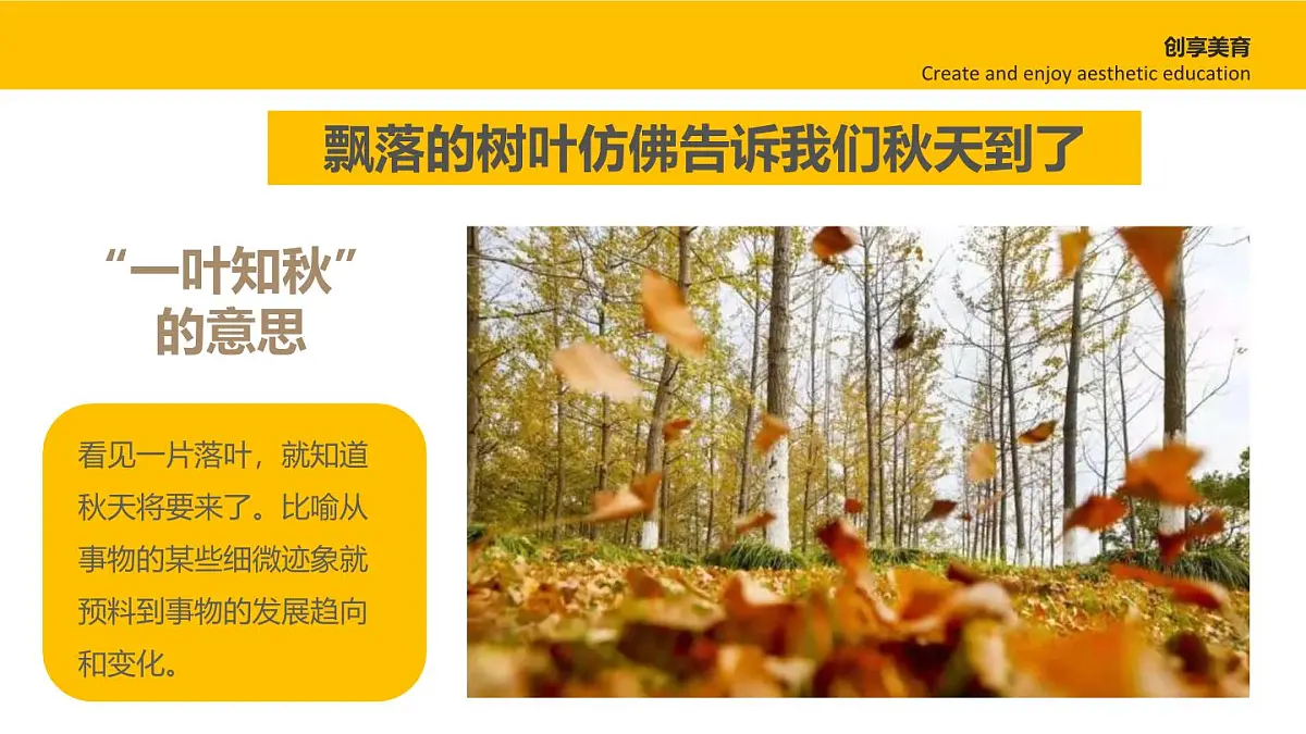 大班《一叶知秋》+课件第5页