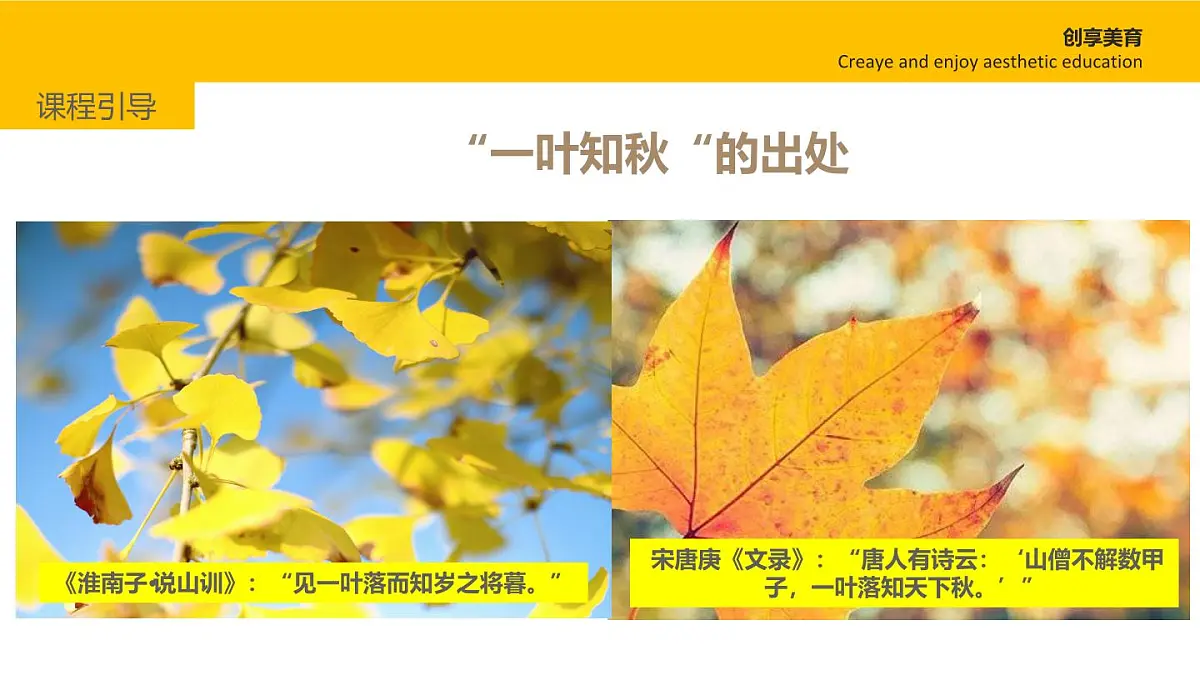 大班《一叶知秋》+课件第6页